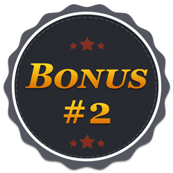 Bonus #2