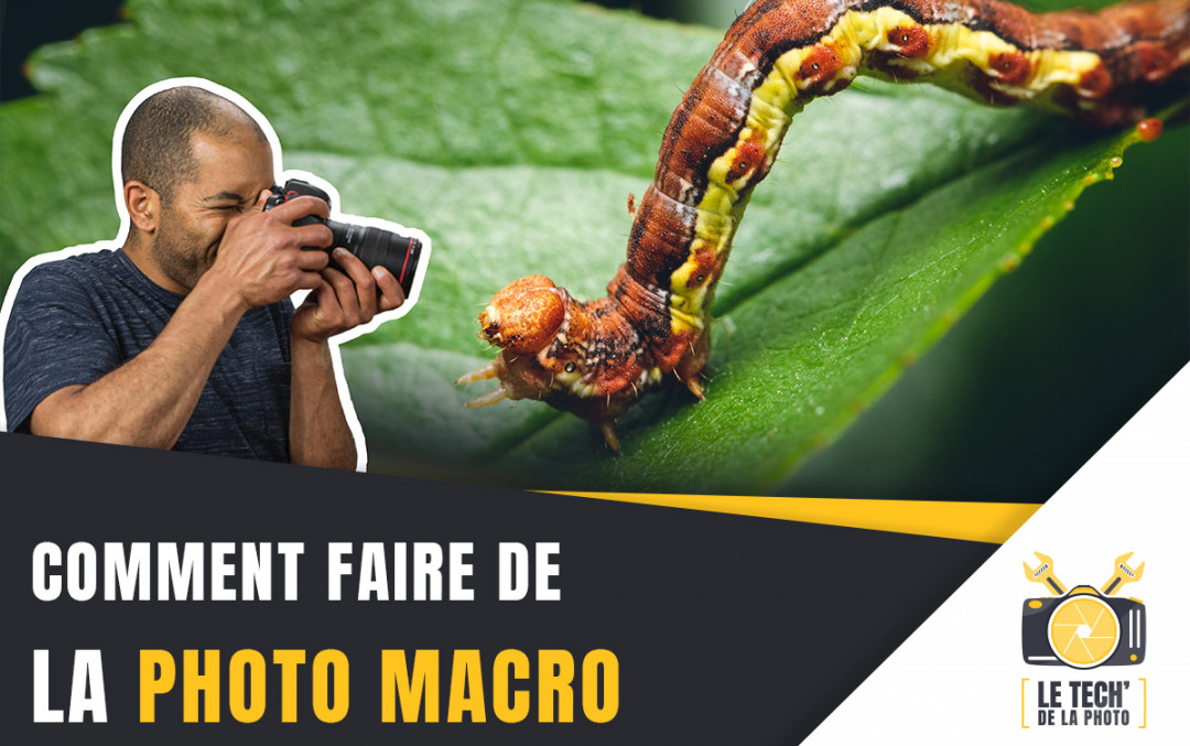 Comment faire de la photo macro (débuter en macro photographie)