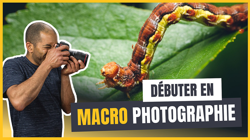 Comment faire de la photo macro