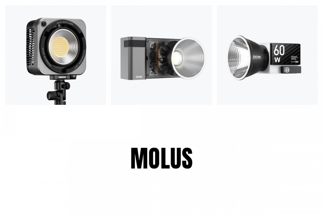 Zhiyun Molus