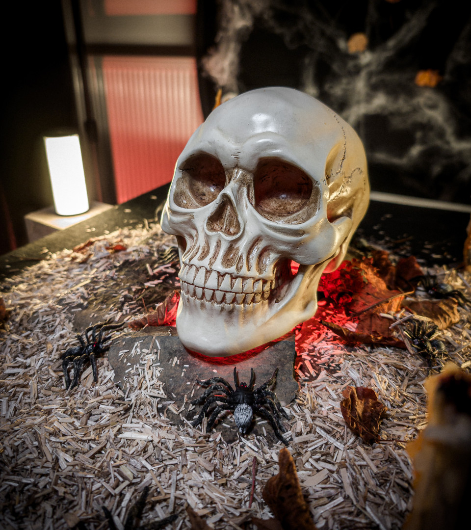 Halloween bts_zoom