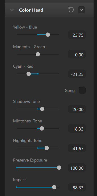 tool_color_head