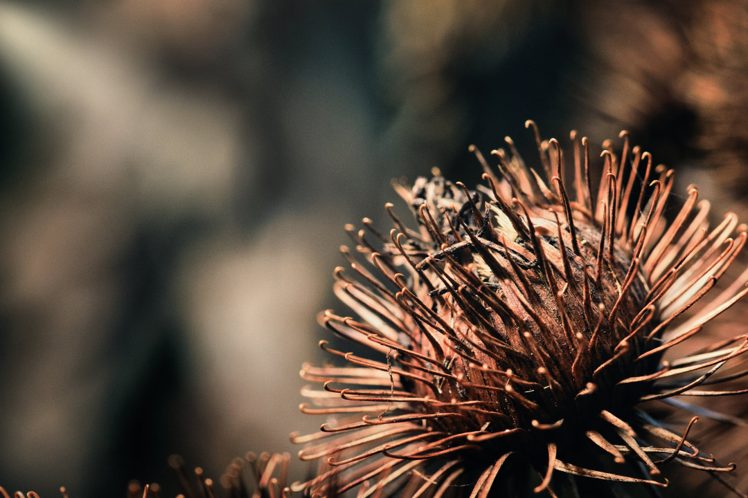 Retouche photo avec Luminar Neo