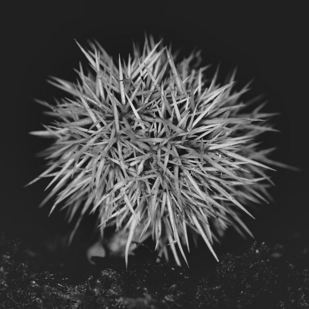 Retouche photo avec Luminar Neo