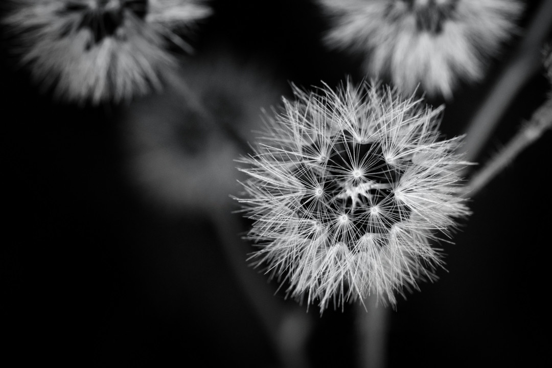 Retouche photo avec Luminar Neo